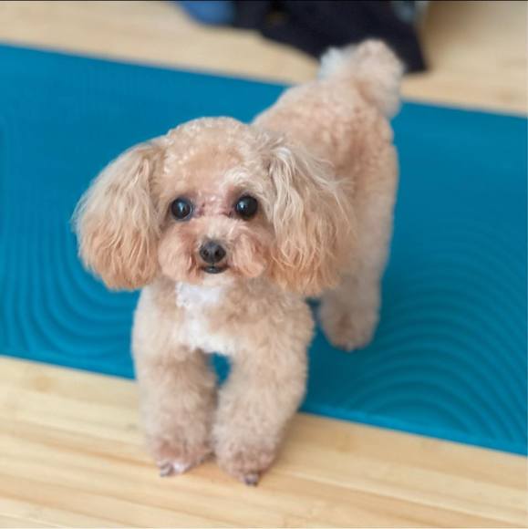 Meet your Posher, Jessica - Picture 1 of 1